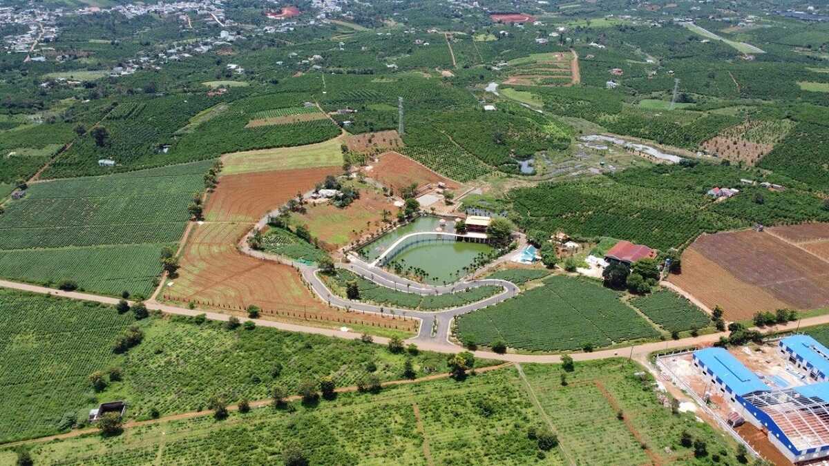 gia dat lam dong hien nay co dang de nha dau tu xuong tien